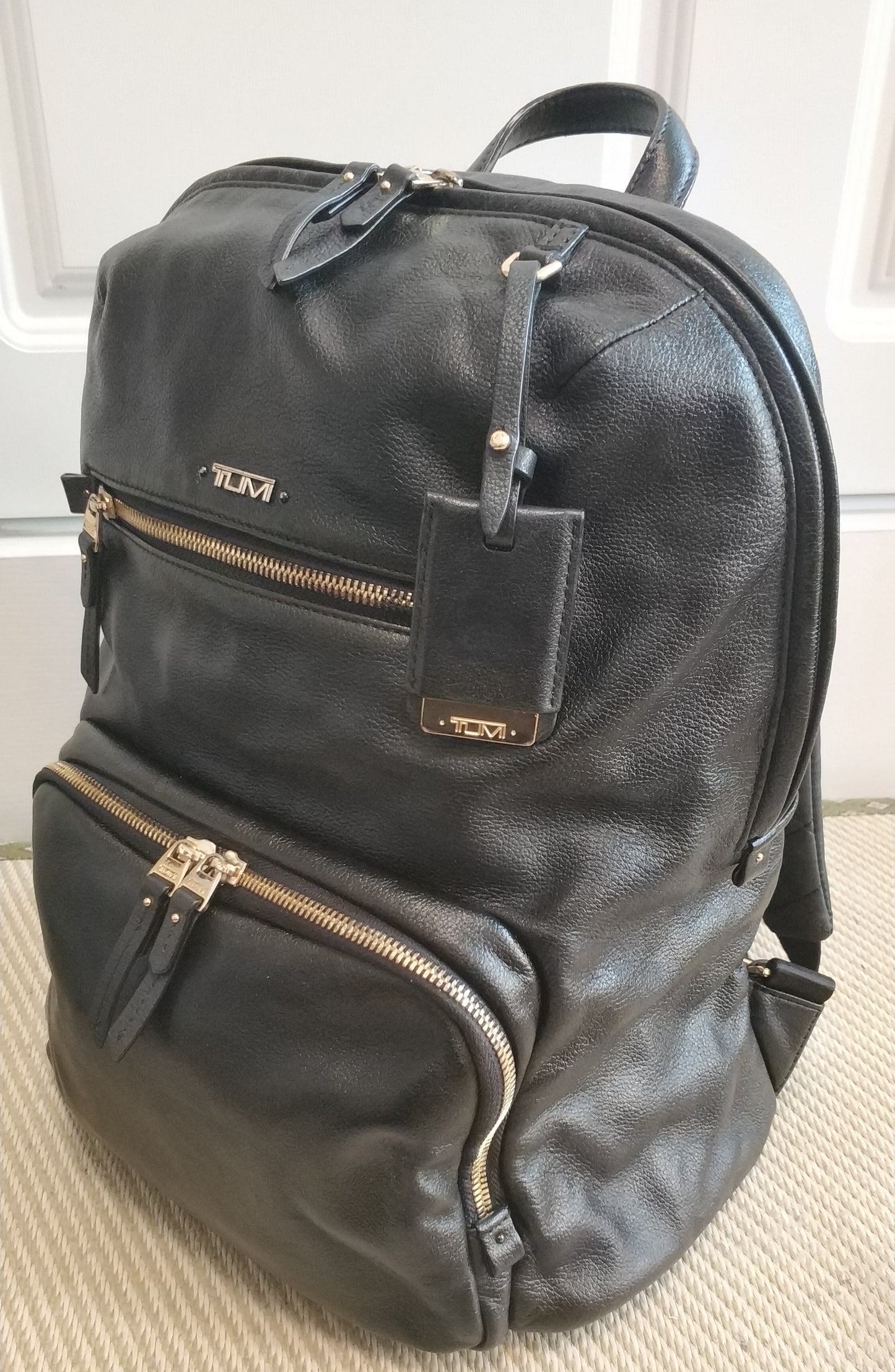 TUMI Voyageur Halle Leather Backpack Black