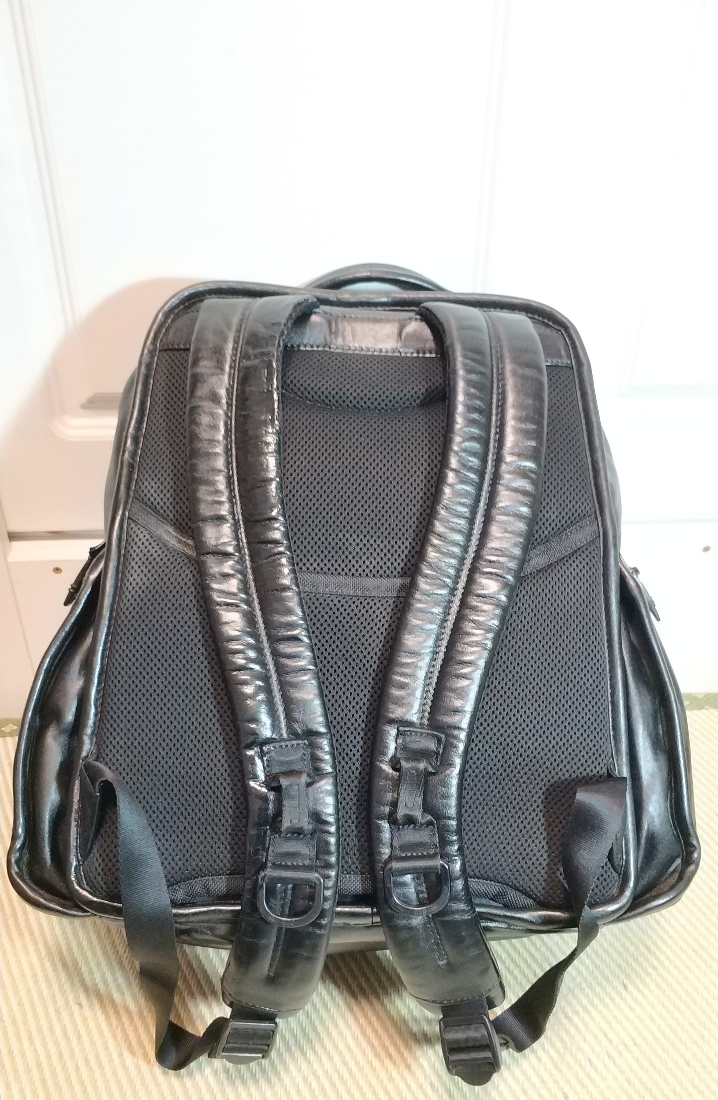 Tumi Alpha Napa Genuine Leather Backpack Compact Black 96173DH