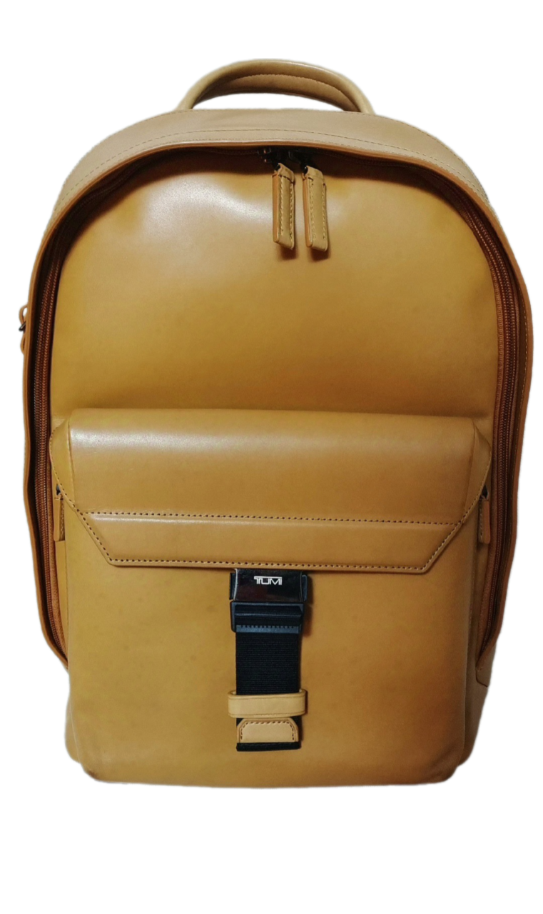 Tumi Ashton Morrison Leather Backpack 0933256BOC