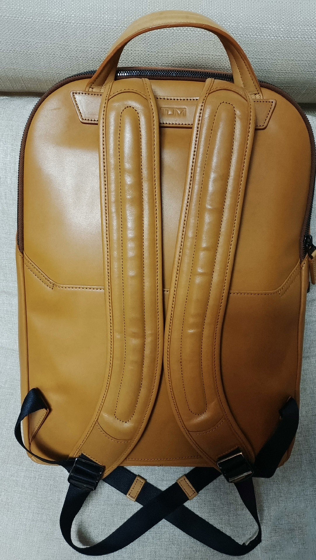 Tumi Ashton Morrison Leather Backpack 0933256BOC