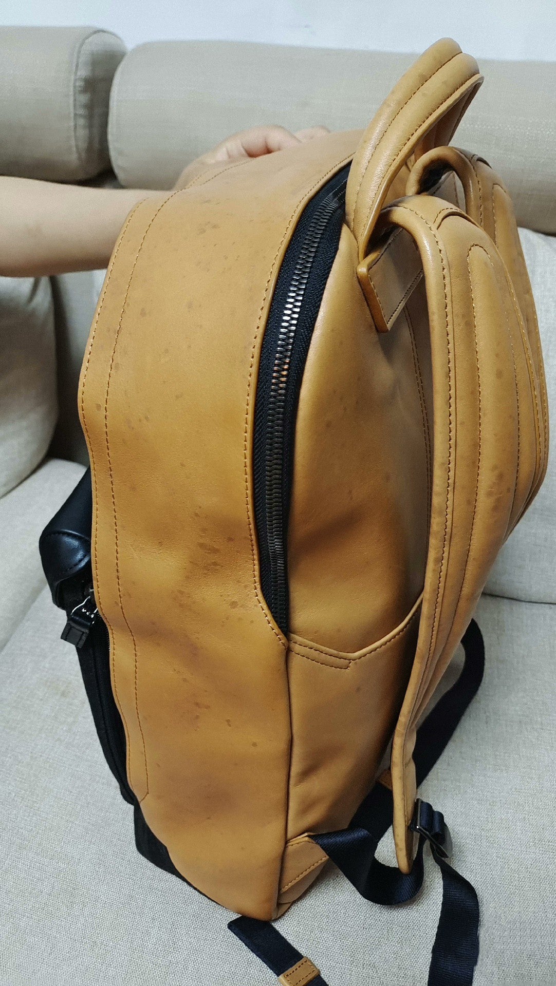 TUMI ASHTON Morrison Leather Backpack 0933256BOC